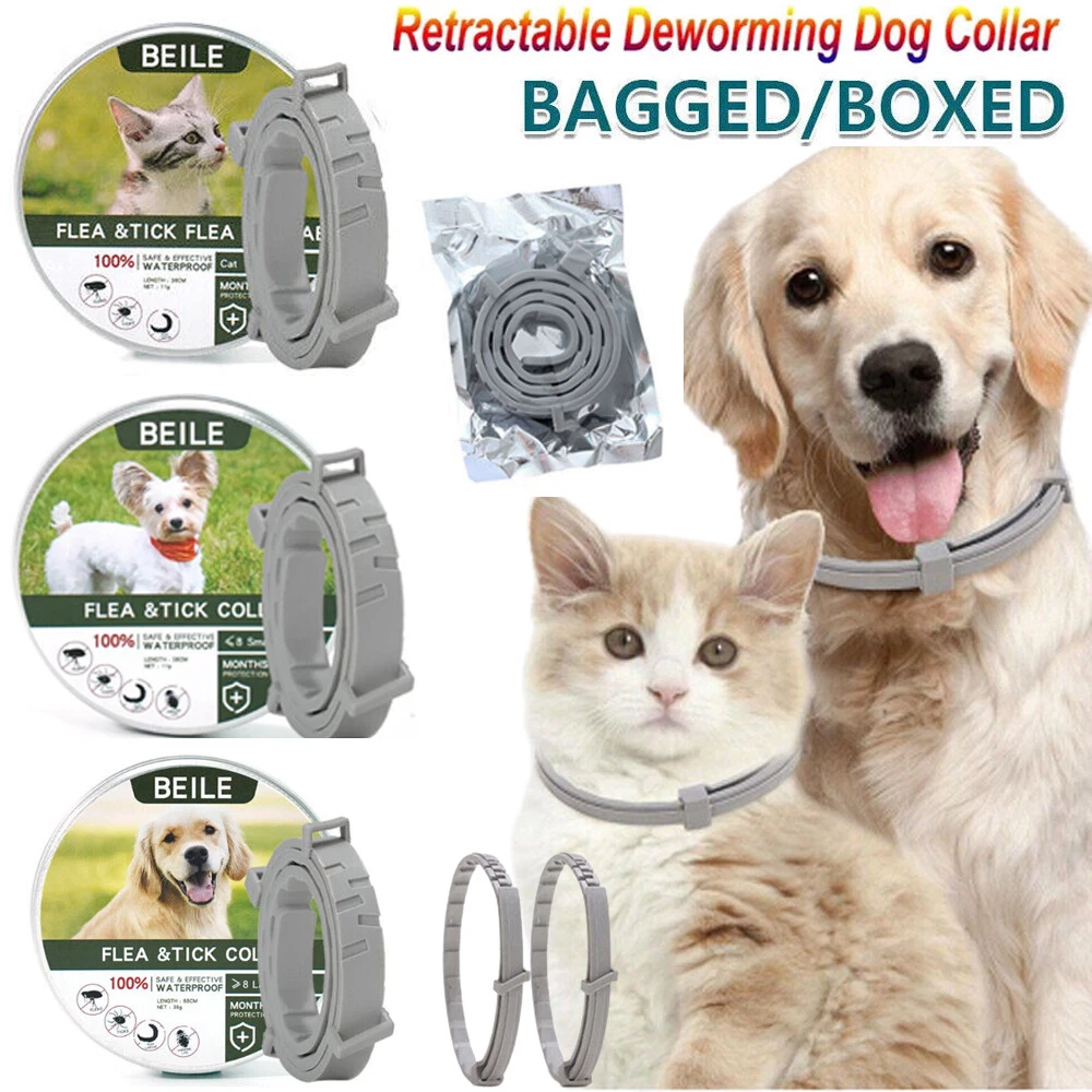 Flea collar top for dogs target