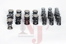 Dual valve springs set for 1.8T NJPerformance