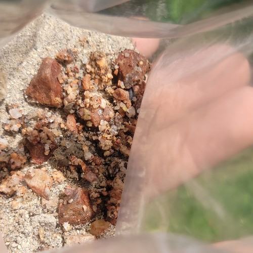 Gold Paydirt Concentrate, With Original Glacier Samples, Guaranteed Gold!