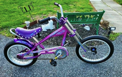 Schwinn Stingray 16