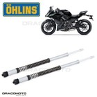 KAWASAKI Ninja 650 2017-2020 cartouche OHLINS FKS 209 NIX