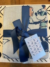 Disney Mickey and Friends Summer Fun Beach Theme Tropical Throw Blanket Soft