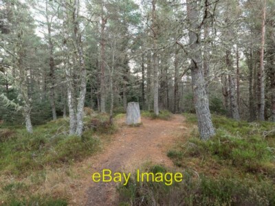 Photo 6x4 Trig Point on Dunain Hill Leachkin Hemmed in by trees the trig  c2018
