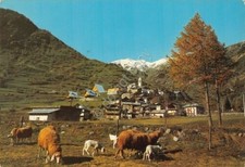 Postcard Bagni di Vinadio Panorama with sheep 1977