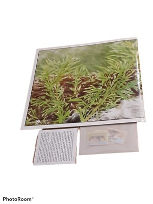 United Nations 1995 Annual Collection Of Stamps Endangered Species