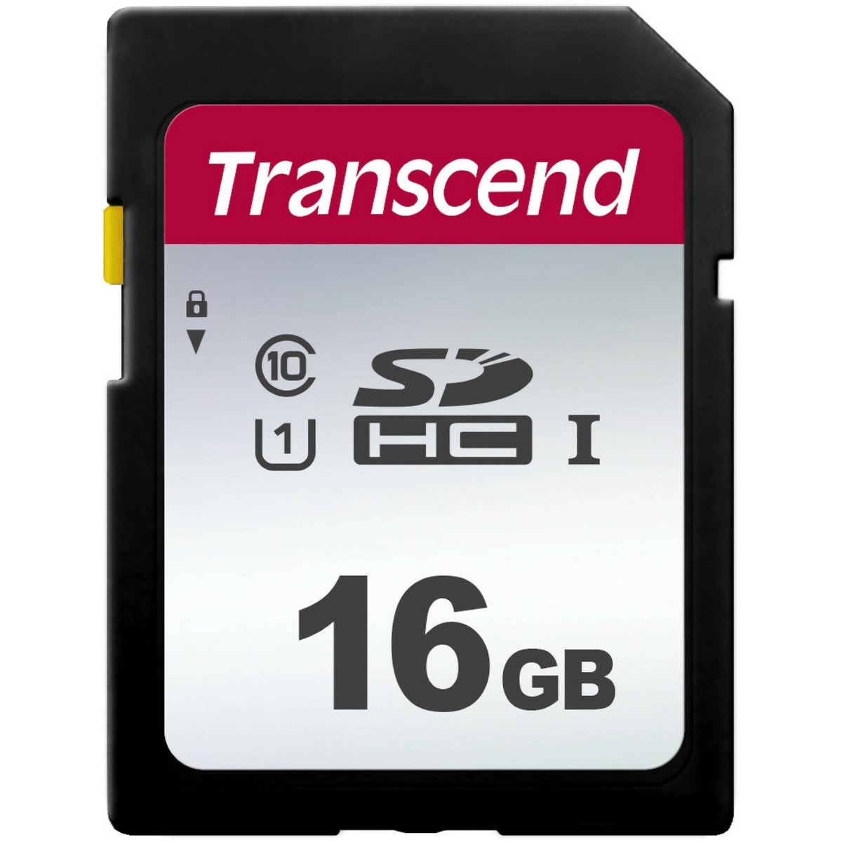 16GB SD 16 GB SDHC Class 10 Memory Card for Nikon SLR D90, D300s, D3000,  D5000