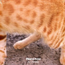 Dublon - Nectar (Vinyl LP - 2025 - EU - Origi...
