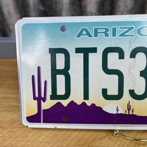 Arizona State License Plate Tag Man Cave Decoration Craft Expired 6/17 BTS3690 - Picture 2 of 4
