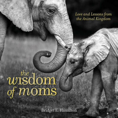 The Wisdom of Moms: Love and Lessons From the Animal Kingdom - Hardcover - GOOD