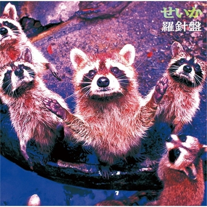 Новая пластинка Rashinban/seika PLP8099