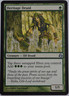 Magic the Gathering HERITAGE DRUID 126/150 Morningtide - Near Mint