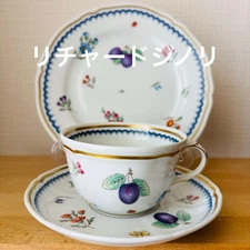Richard Ginori Cup Saucer Plate Trio Set Dak From Japan