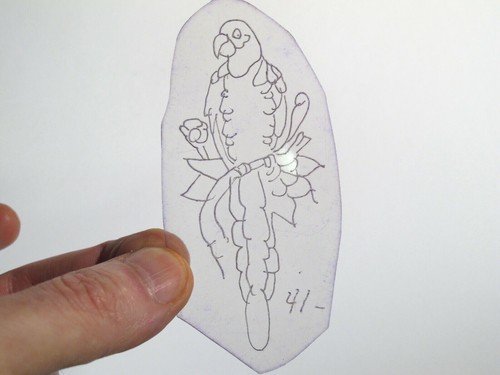 vtg 1960s 1970s Tattoo Flash acetate stencil Parrot on Branch v1 BR1