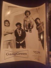 Vintage GANG GREEN Boston Hardcore Punk Rock Original Press Photo 8x10 TAANG!