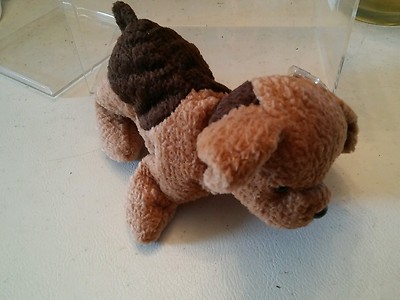 000 Ty Beanie Baby  Pinata 1996 Tuffy Dog ~Nice with Hang TAGS RETIRED w Case