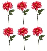 6Er Set KüNstliche Dahlien Mit Xxl BlüTe Pink H. 60Cm Emerald Kunstblumen