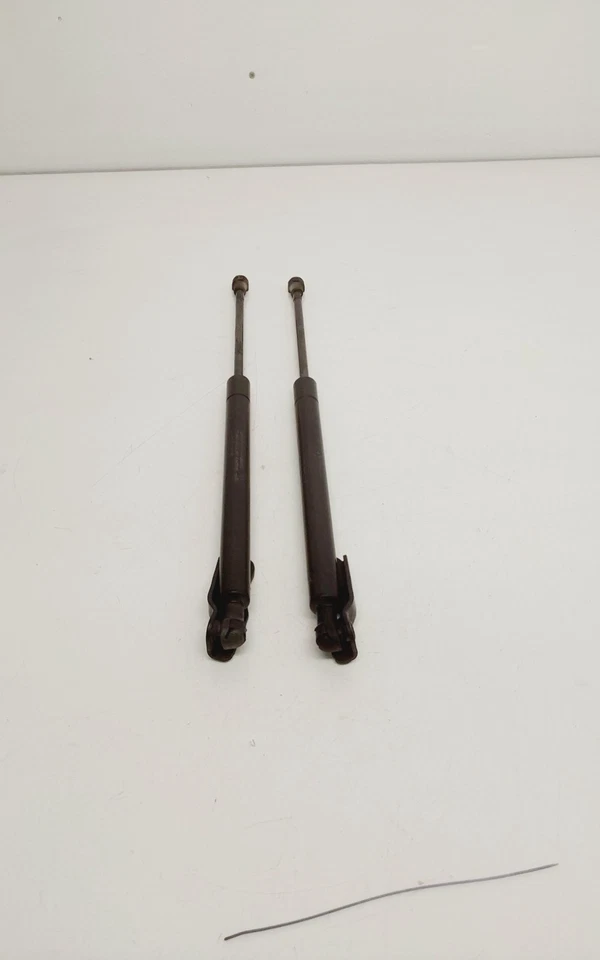 Toyota Matrix XR 2006 puerta trasera tapa puntales OEM Foto 3 de 4