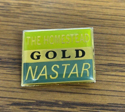 THE HOMESTEAD - Ski Pin Badge Skiing - NASTAR GOLD - Virginia  MTN Mountains
