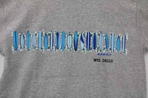 WIS. DELLS GRAPHIC T-SHIRT MENS SZ M GRAY HAWAII SURFBOARDS HIBISCUS LEI NWD - Picture 2 of 11