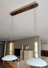 Esszimmer Hängeleuchte 2 Flammig Messing/Edelstahl