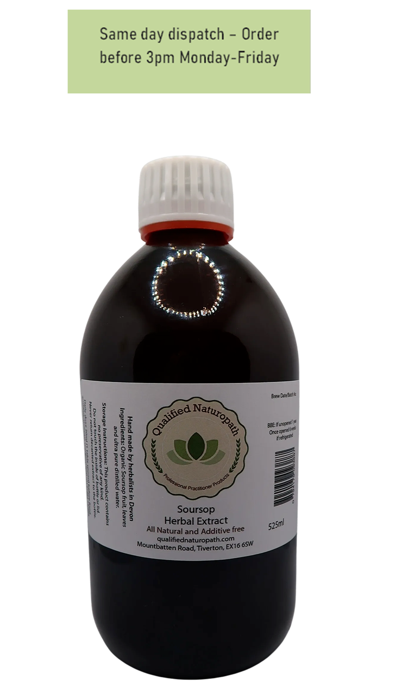 Graviola (Soursop) Herbal Extract - 525ml - In Glass UV Resistant Bottle