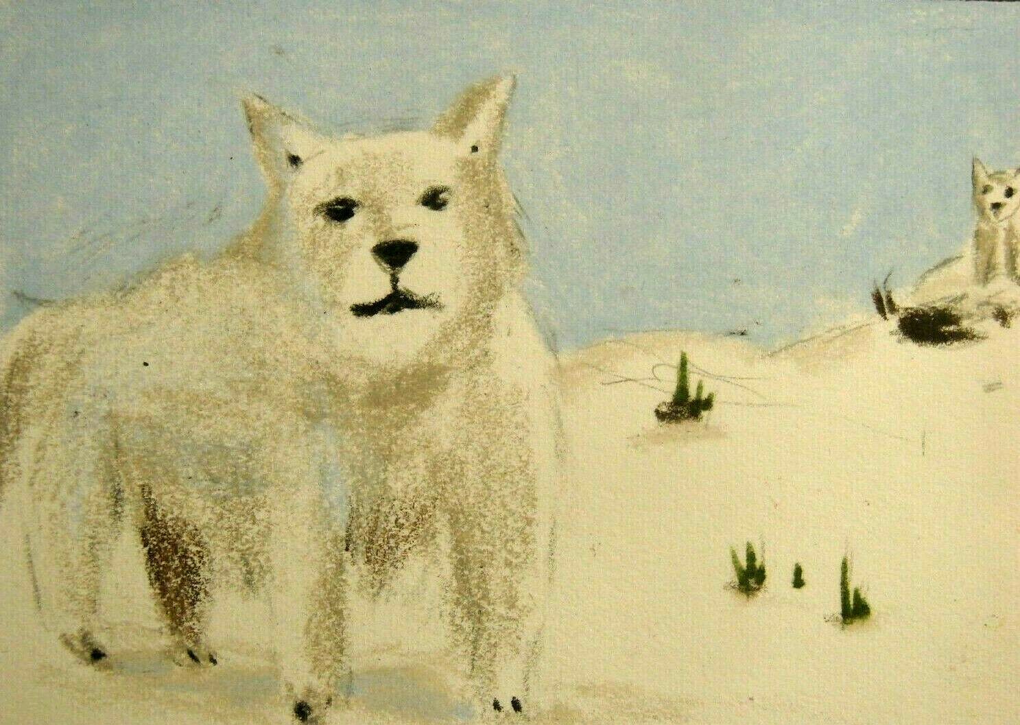2019 Viceroy Artist's Choice Premium Sketch Chrissy Spallone Arctic Fox eBay