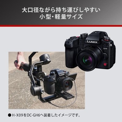 Panasonic LEICA DG SUMMILUX 9mm f/1.7 ASPH Ultra Wide Angle Lens