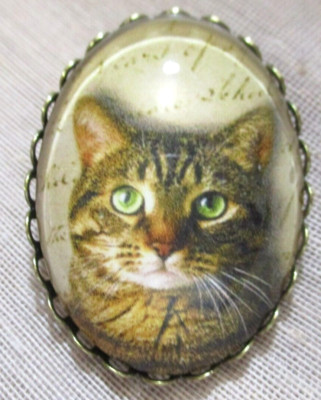 XL GLASS DOME PIC BUTTON CLOSE-UP OF ''WAITING'' GREEN-EYED TABBY CAT 1-1/2 IN