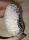 Bild 4 von 7