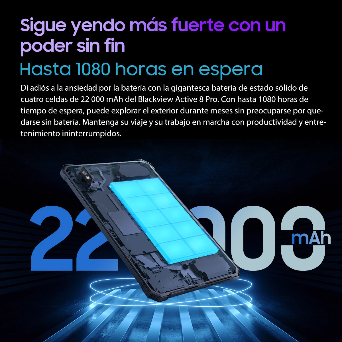 Imagen 8 de 14