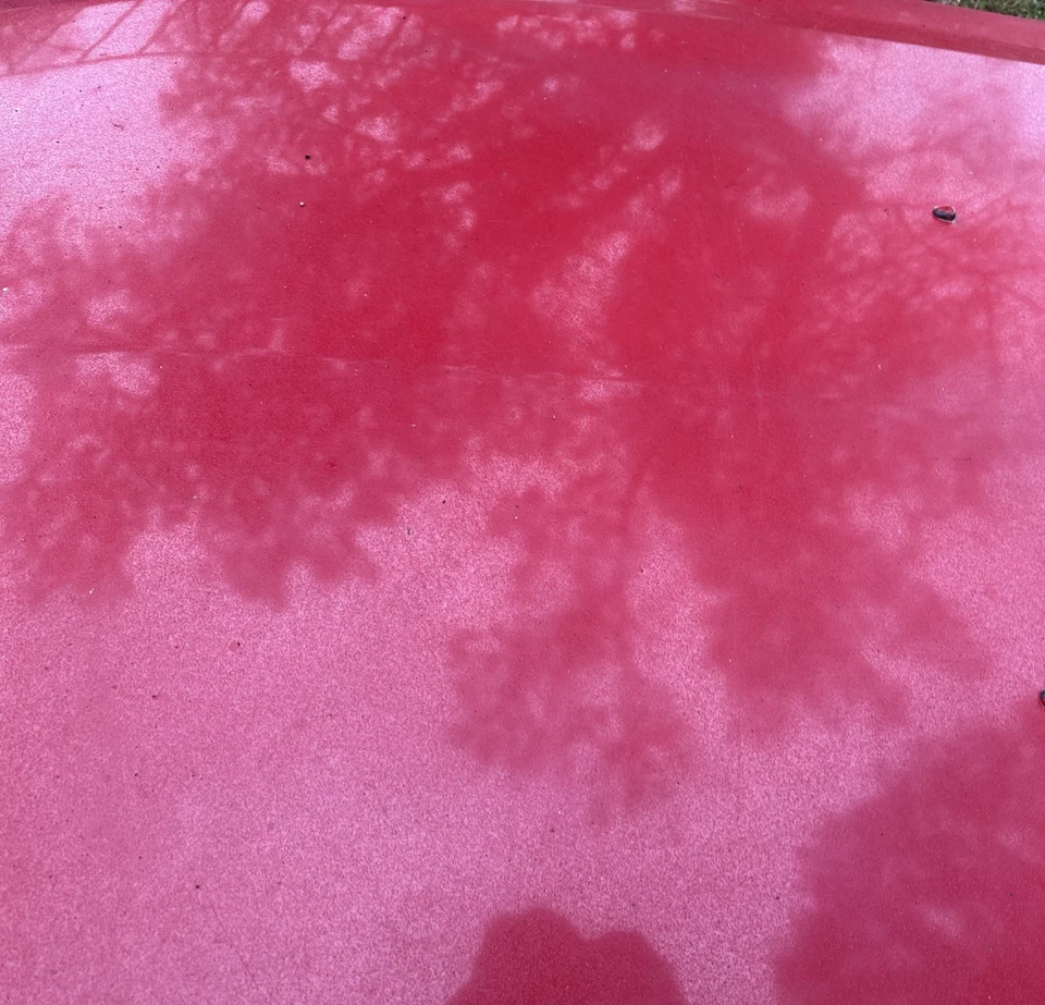 05-09 Ford Mustang rojo brillante capó delantero con revestimiento de capó OEM Foto 3 de 4