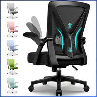 Ergonomischer BüRostuhl Mit HöHenverstellung Und LendenstüTze, Schwarz