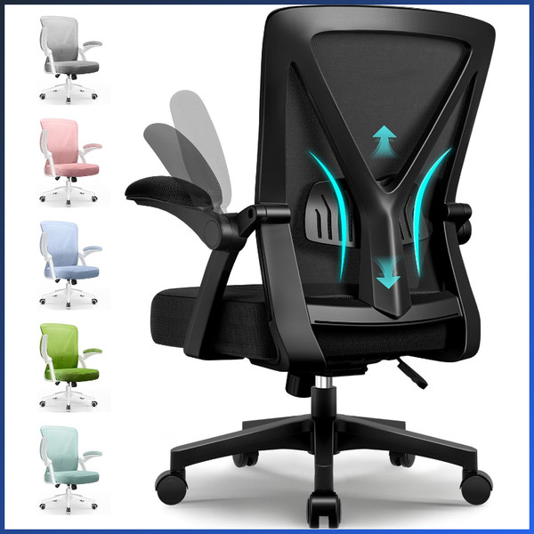 Ergonomischer BüRostuhl Mit HöHenverstellung Und LendenstüTze, Schwarz-image