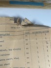 1952-Korean War Era US Army Field Gear Document Collection-588th Replacement Co. — photo 8