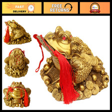 Brass Feng Shui Money Frog Statue with 5 Lucky Ancient Coins - Wealth Toad Decor