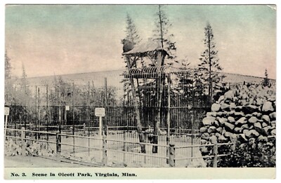 Olcott Park Zoo Bear On a Perch Snow Virginia Minnesota MN c1920 DB Postcard UNP