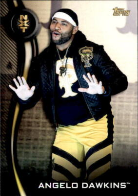 Angelo Dawkins 2019 Topps WWE NXT Roster Card #4
