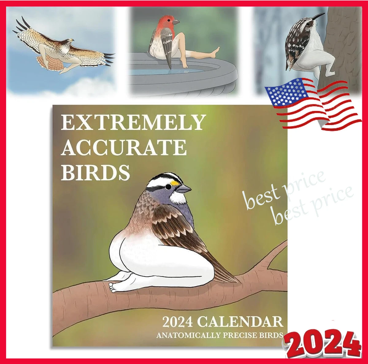 2024-calendar-of-extremely-accurate-birds-funny-calendar-wall-calendar-ebay