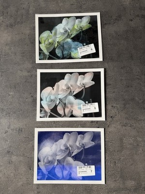 Fine Art Print Orchideen auf Hahnemühle Papier