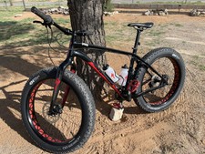 mongoose brutus
