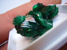 Schöne DIOPTAS Kristallstufe aus der Republik Kongo