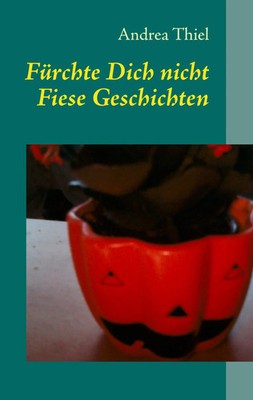 Andrea Thiel | Fürchte Dich nicht | Taschenbuch | Deutsch (2013) | 256 S.