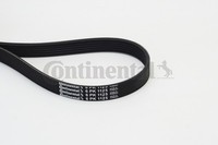 6PK1125 Continental Ctam Keilrippenriemen FüR ,Audi,CitroËN,Fiat,Lada,Peugeot,Re