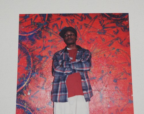 DEL 5x7 FOTO ORIGINAL JEROGLÍFICOS Póster volador de rap lp 12" wu tang mf doom cd - Imagen 2 de 8