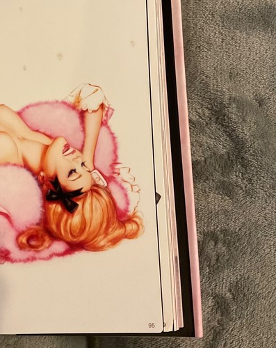 Malibu Cheesecake: The Pinup Art of Olivia de Berardinis Hardcover - Picture 6 of 6