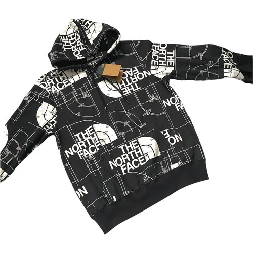Suéter con capucha con logotipo estampado con logotipo de media cúpula de The North Face - Imagen 3 de 12