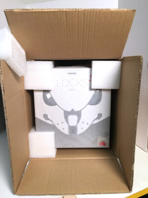 LOCKS vinyl figure COARSE TOYS designer art PAIN EDITION