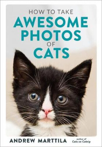 Thumbnail - How To Take Awesome Photos Of Cats By Marttila, Andrew