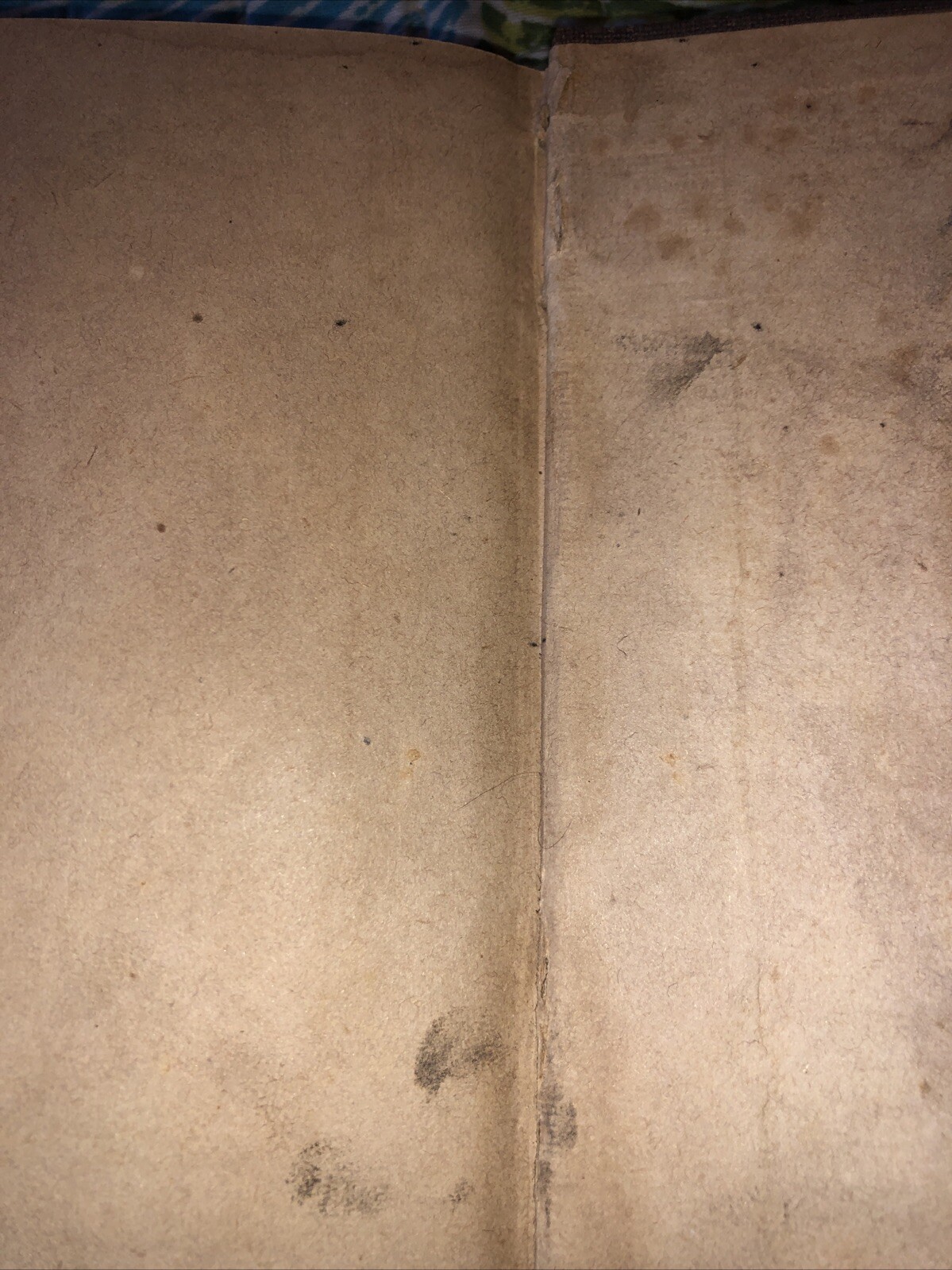 Picture 9 of 9