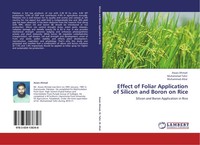 Awais Ahmad (U. A.) | Effect Of Foliar Application Of Silicon And Boron On Rice